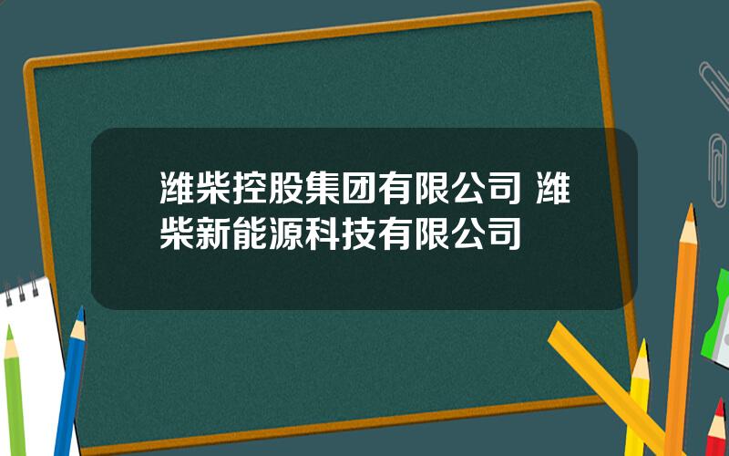 潍柴控股集团有限公司 潍柴新能源科技有限公司